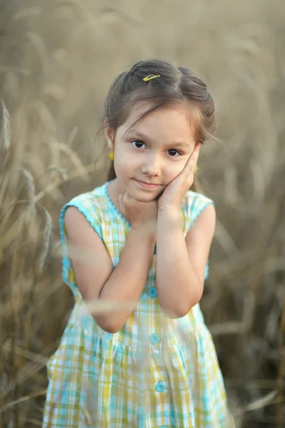 Cute girl in field — Stock Photo, Image