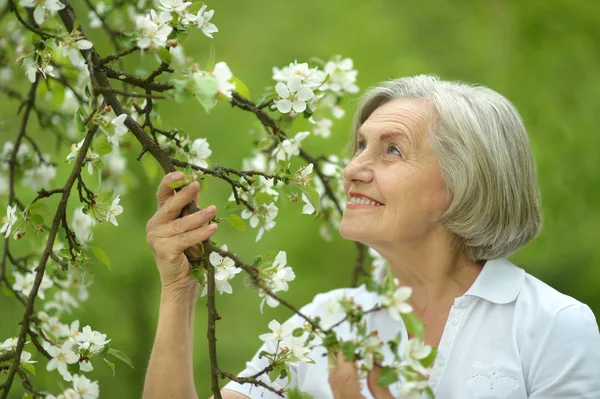 Elderly woman  with cherry flowers — Stock Photo, Image