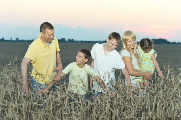 Familie geht auf Feld — Stockfoto