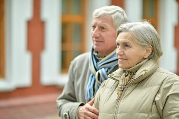 Mature couple in  park — Stock Photo, Image