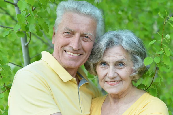 Elder couple in summer — Stock Photo, Image