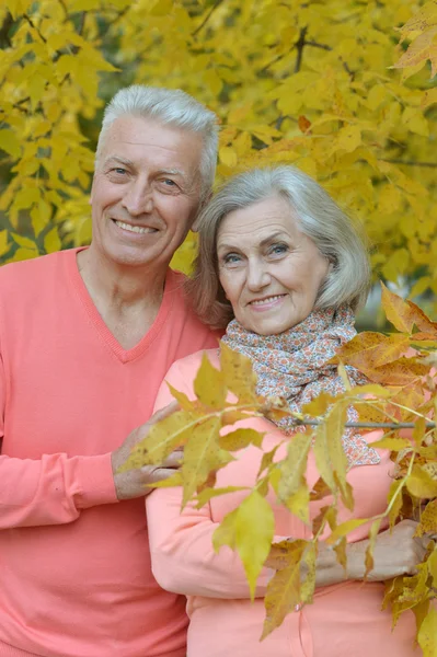 Bejaarde echtpaar op aard — Stockfoto