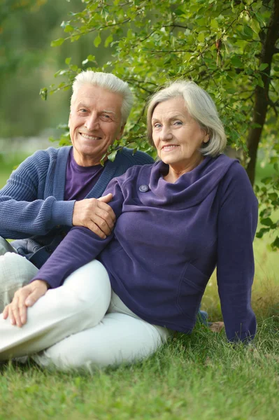 草の上に座っている年配のカップル — ストック写真