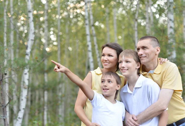 Family in the birch forest — Stock Photo, Image