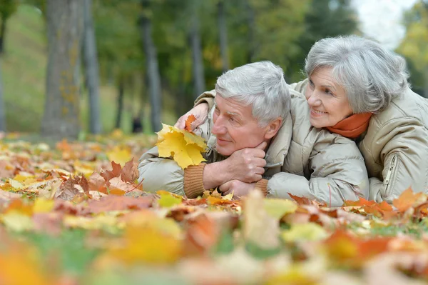 Casal sênior no parque de outono — Fotografia de Stock