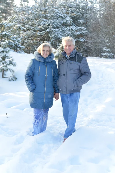 Starší pár v zimě venku — Stock fotografie