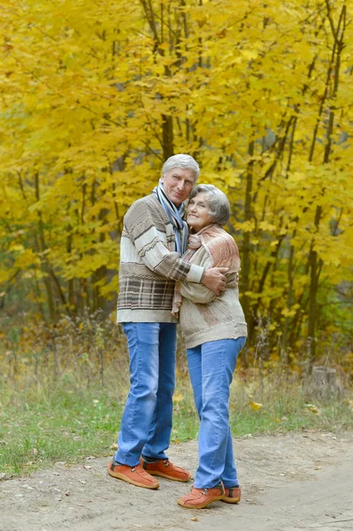 Couple sénior dans le parc d'automne — Photo