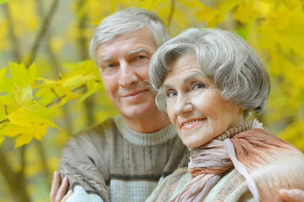 Senior couple  in autumn park — Stock Photo, Image