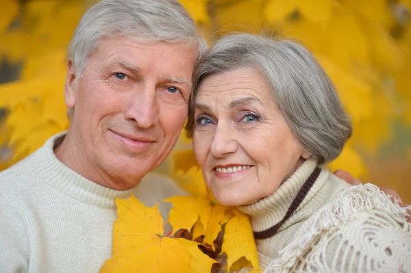 Senior Par i høstpark – stockfoto