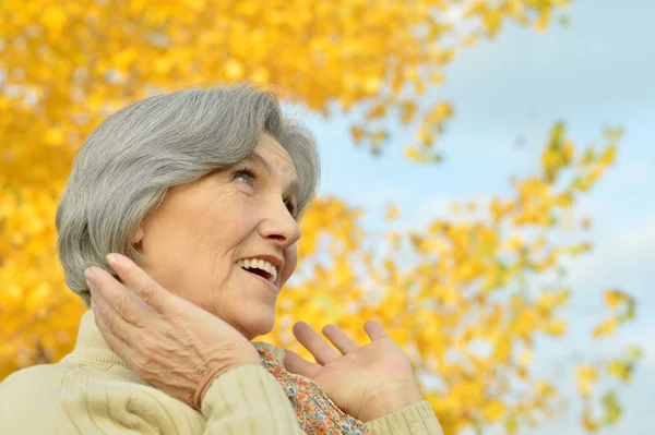 Mujer en el parque de otoño — Foto de Stock