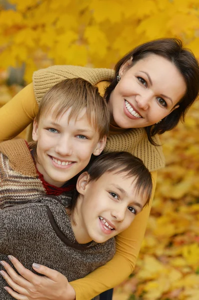 Mother and sons in park — Stock Photo, Image