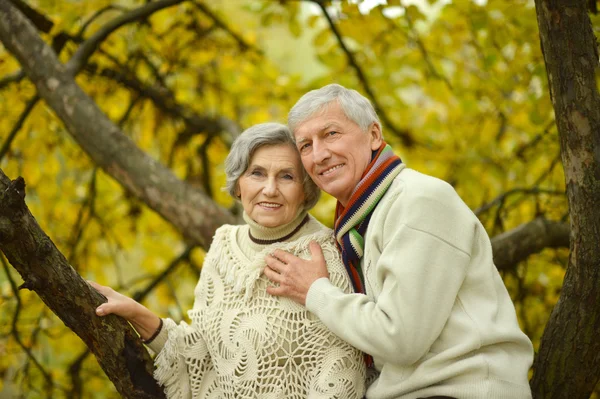 คู่รักผู้สูงอายุในสวนฤดูใบไม้ร่วง — ภาพถ่ายสต็อก