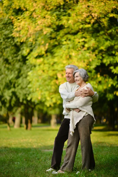 Autumn Park 'ta kıdemli bir çift — Stok fotoğraf