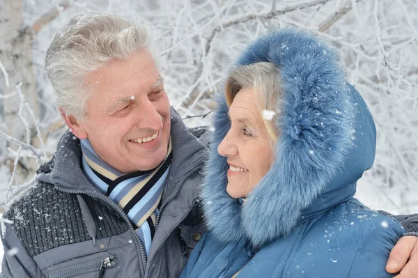 Pareja mayor en invierno al aire libre — Foto de Stock