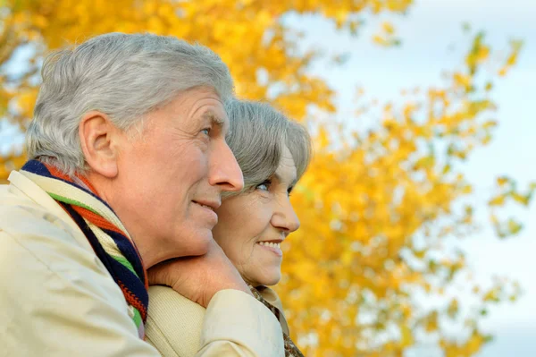 Senior couple in autumn park — Stock Photo, Image