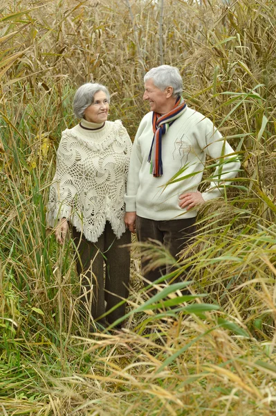 Elderly couple  in autumn park — Stock Photo, Image