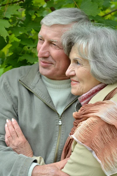 Senior couple in autumn park — Stock Photo, Image