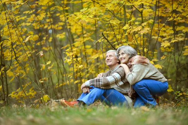 Pareja mayor en el parque de otoño — Foto de Stock