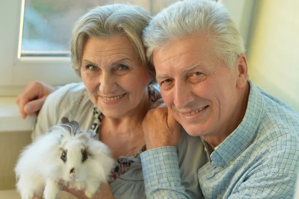 Senior couple with a little rabbit — Stock Photo, Image