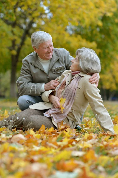 Oude mensen zitten in park — Stockfoto