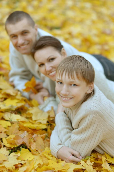 Família no parque de outono — Fotografia de Stock