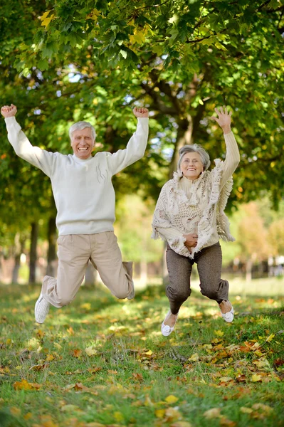 Älteres Ehepaar im Herbstpark — Stockfoto