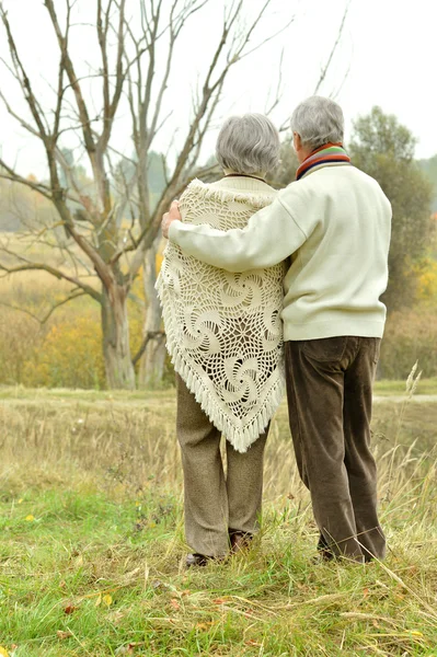 秋の公園での高齢者のカップル — ストック写真