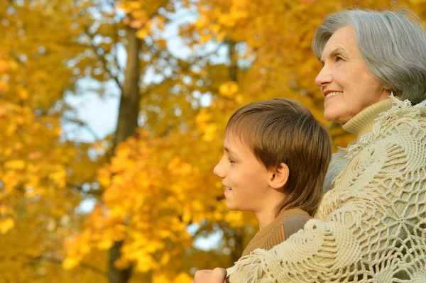 Grootmoeder met jongen in park — Stockfoto