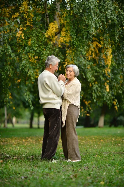 Ηλικιωμένο ζευγάρι στο πάρκο φθινόπωρο — Φωτογραφία Αρχείου