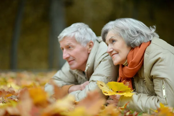 Couple sénior dans le parc d'automne — Photo