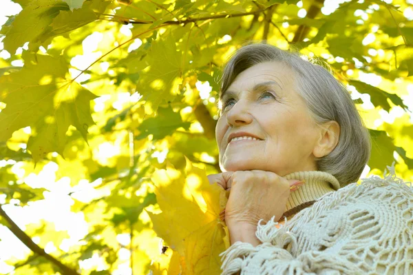 Elderly woman  in autumn park — Stock Photo, Image