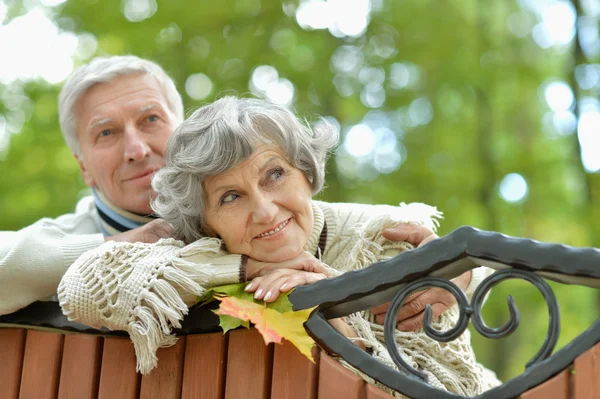 Bejaarde echtpaar in herfst park — Stockfoto