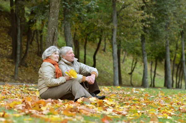 Coppia Senior nel parco autunnale — Foto Stock