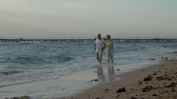 Senior couple  on beach — Stock Video