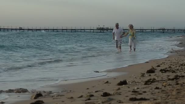 老夫妇在海滩上 — 图库视频影像