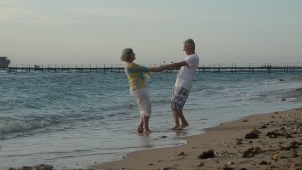 Senior couple  on beach — Stock Video