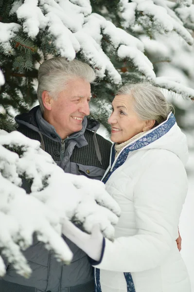 Casal sênior andando no inverno — Fotografia de Stock