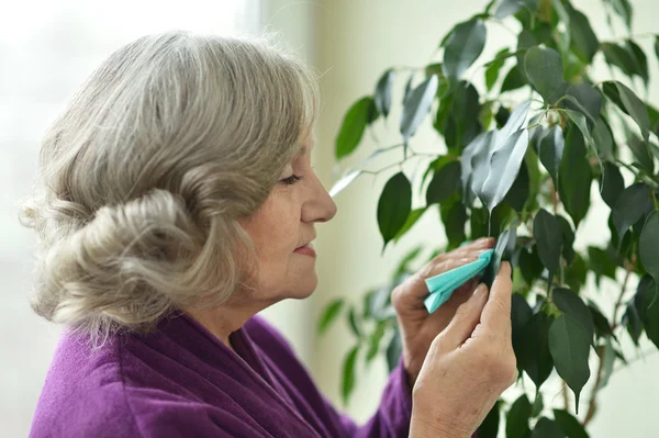 Starší žena zalévání rostlin — Stock fotografie