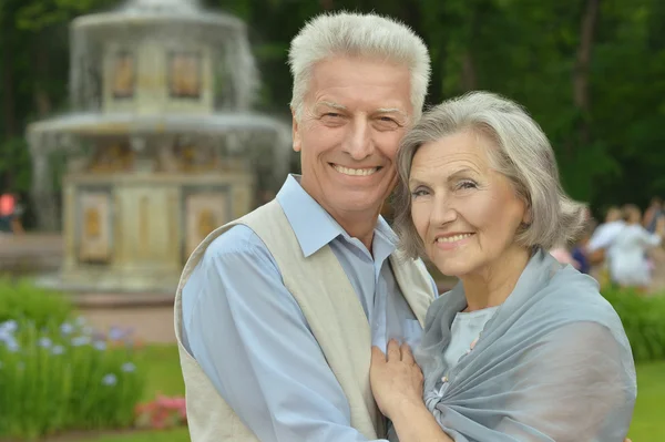 Oudere paren wandelen in het park — Stockfoto