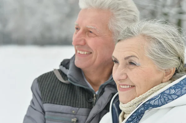 Bejaarde echtpaar in winter forest — Stockfoto