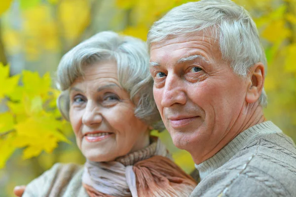 Senior couple  in autumn park — Stock Photo, Image