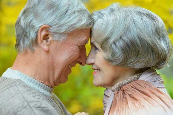 Senior couple  in autumn park — Stock Photo, Image