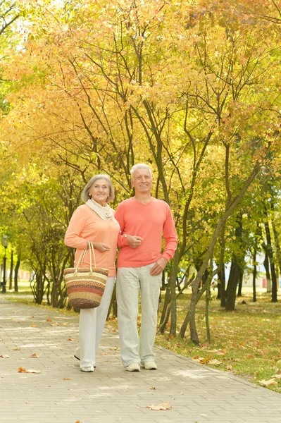 Coppia matura nel parco autunnale — Foto Stock