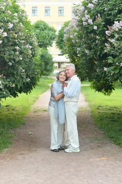 Pareja mayor caminando en el parque — Foto de Stock