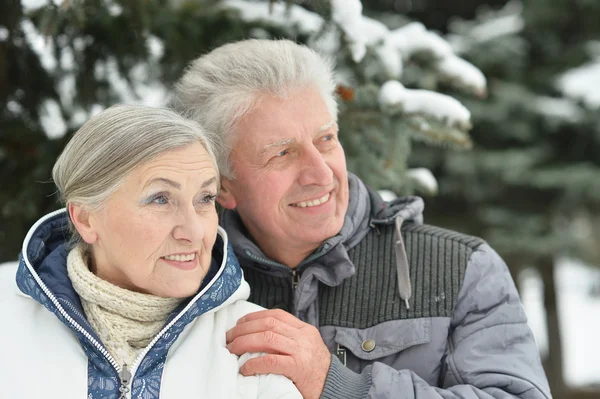 Senior paar wandelen in de winter — Stockfoto