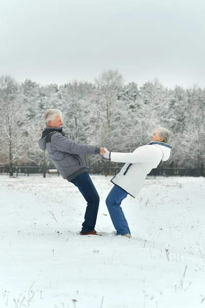 Äldre par i vinter skog — Stockfoto