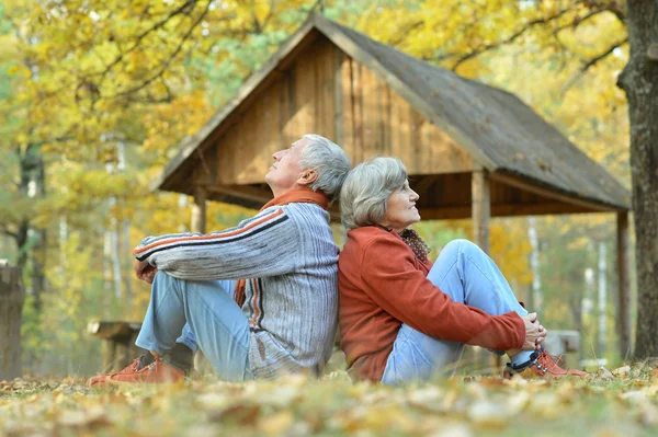 Senior couple  in autumn park — Stock Photo, Image