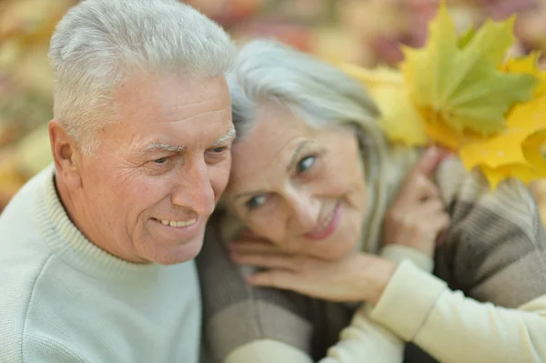 Äldre par i höst park — Stockfoto