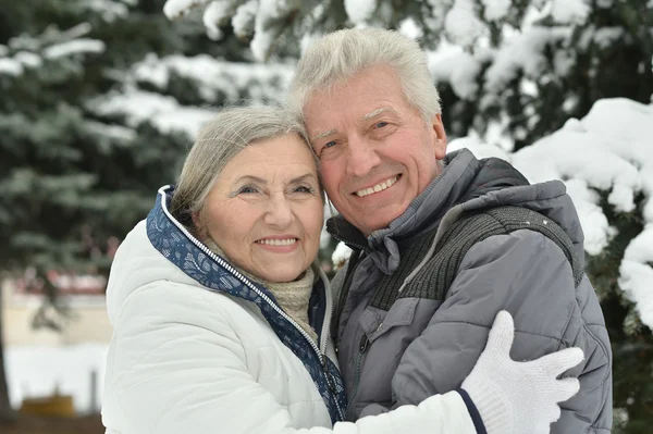 Senior paar wandelen in de winter — Stockfoto