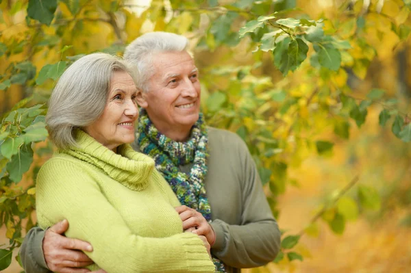 Couple d'âge mûr dans le parc d'automne — Photo